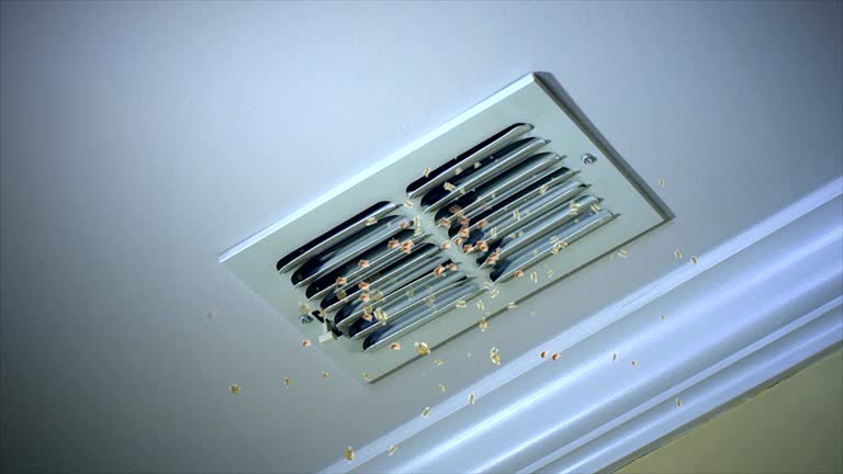 Best Best Air Duct Cleaning Company  in Rancho Mirage, CA